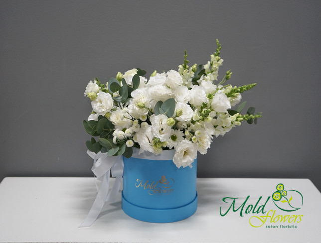 Blue Box with White Flowers, ''Azure Coast'' photo